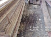 Truk Pengangkut Kayu Ilegal Terekam di Rawang Sari, Dugaan Ilegal Logging di Pelalawan Kian Terang-Terangan