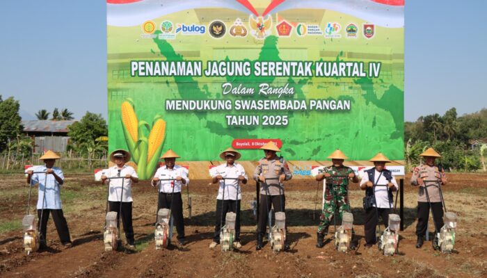 Penanaman Jagung Serentak Kuartal IV Polres Boyolali: Wujud Dukungan Terhadap Swasembada Pangan Nasional 2025