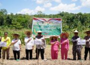 Kapolres Nias Selatan Dorong Ketahanan Pangan Lewat Penanaman Jagung Serentak Kuartal IV