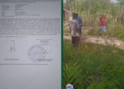 Kasus Dugaan Pengeroyokan di Ulunoyo Dilaporkan, Polisi Mulai Penyelidikan