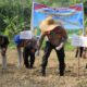 *Polres Nias Selatan Melalui Yayasan Peduli Kasih Melakukan Penanaman Jagung Serentak Kiarta 1 Tahun 2026 Untuk Mendukung Ketahanan Pangan*